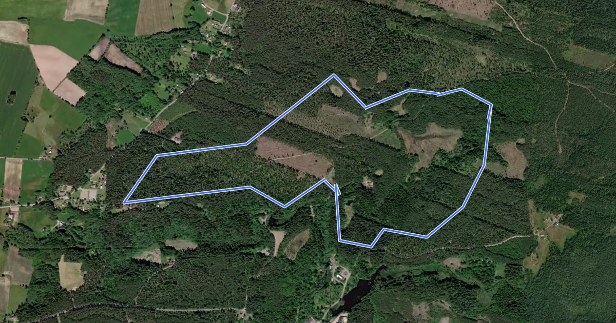 Маршрут Rankås 5Km на спутниковом снимке
