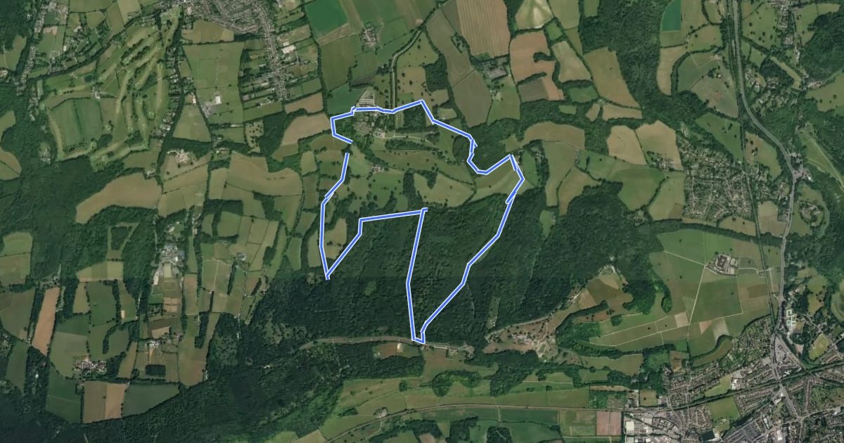 Маршрут Ranmore Common Walk, Polesden Lacey на спутниковом снимке