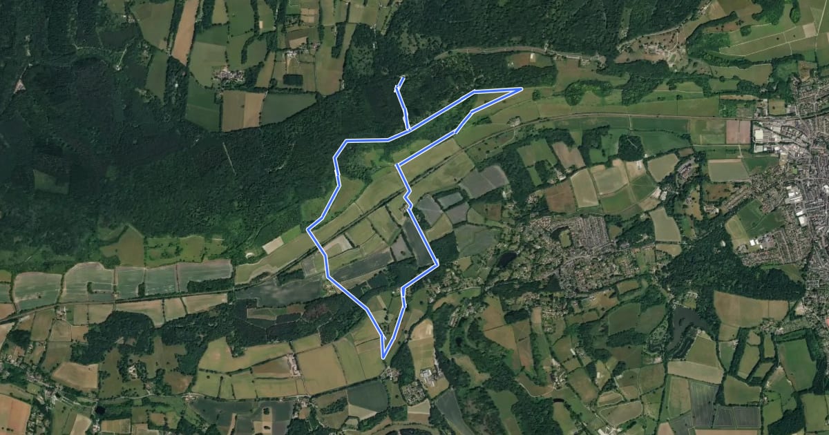 Маршрут Ranmore West to Wotton Hatch Pub Walk, North Downs West на спутниковом снимке