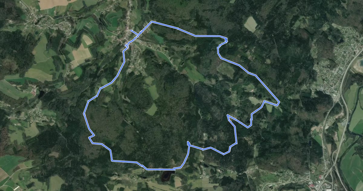 Маршрут Raon-aux-Bois - Circuit 1 на спутниковом снимке