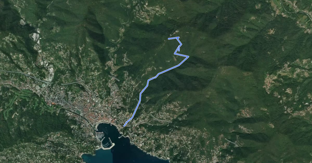 Маршрут Rapallo - Santuario di Montallegro на спутниковом снимке