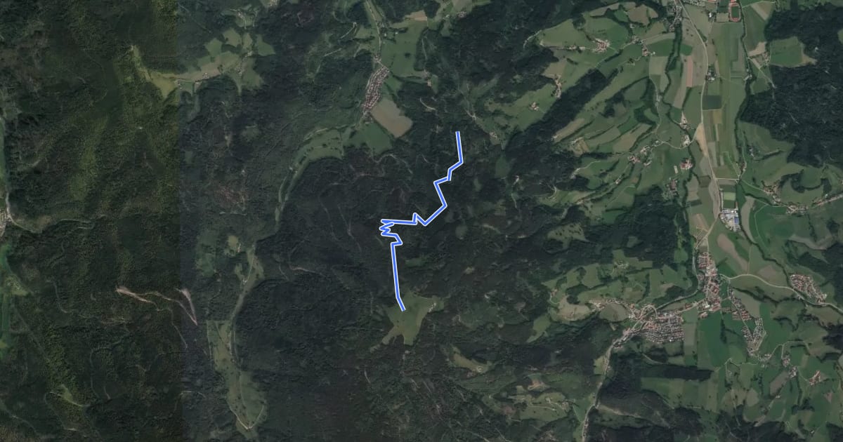 Маршрут Rappenecksattel - Molzenwald на спутниковом снимке