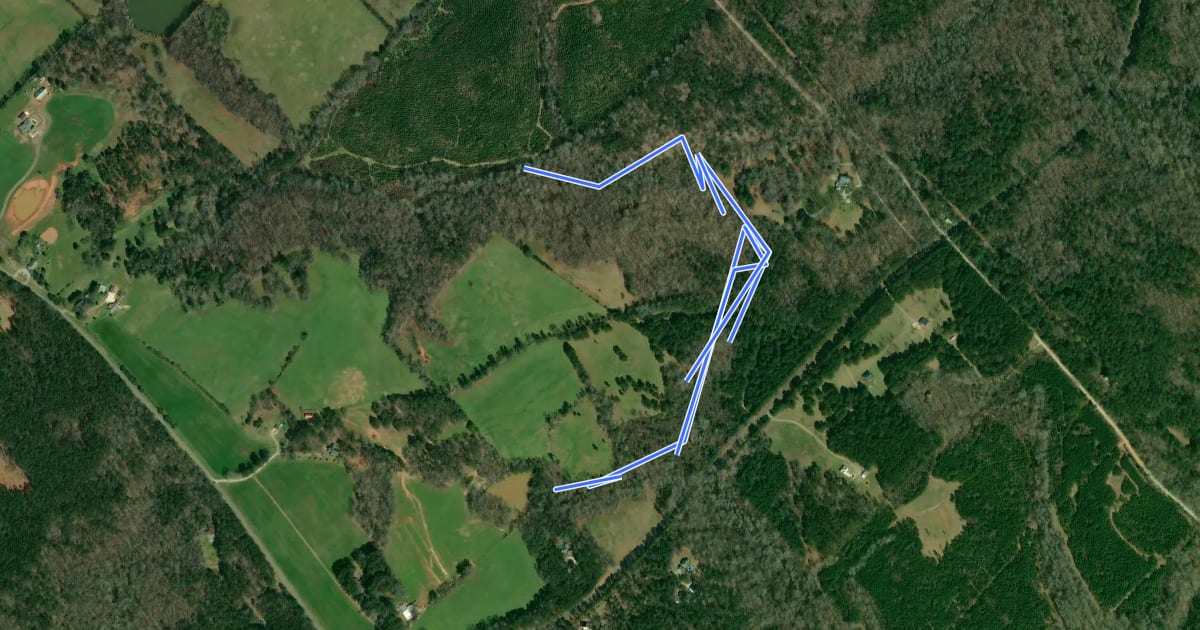 Маршрут Ras Trail на спутниковом снимке