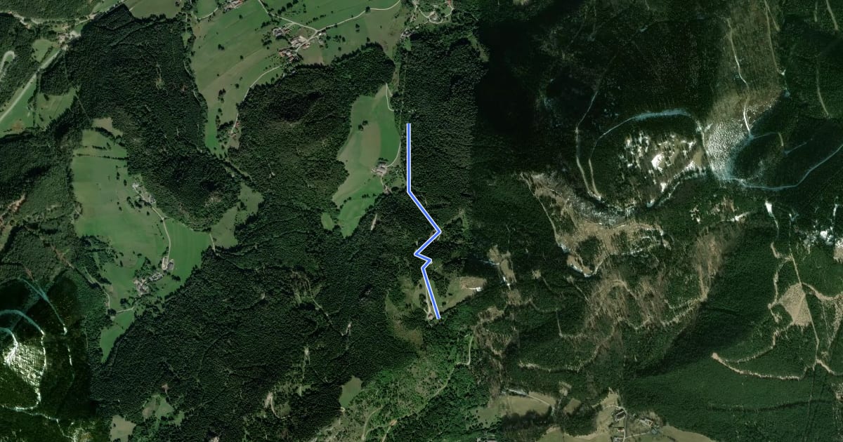 Маршрут Rastberg bei Miesenbach - Scheimhütte на спутниковом снимке