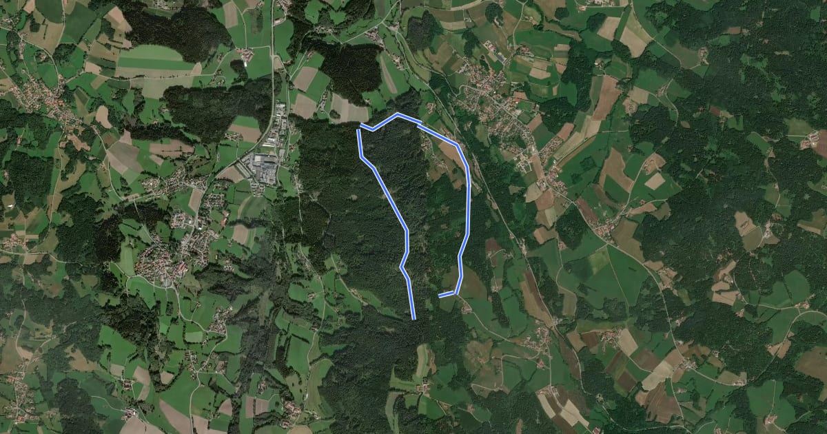 Маршрут Rattenberger Höhenrundweg (Rattenberger Wanderweg 10) на спутниковом снимке