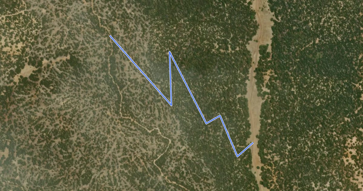 Маршрут Rattlesnake Trail на спутниковом снимке