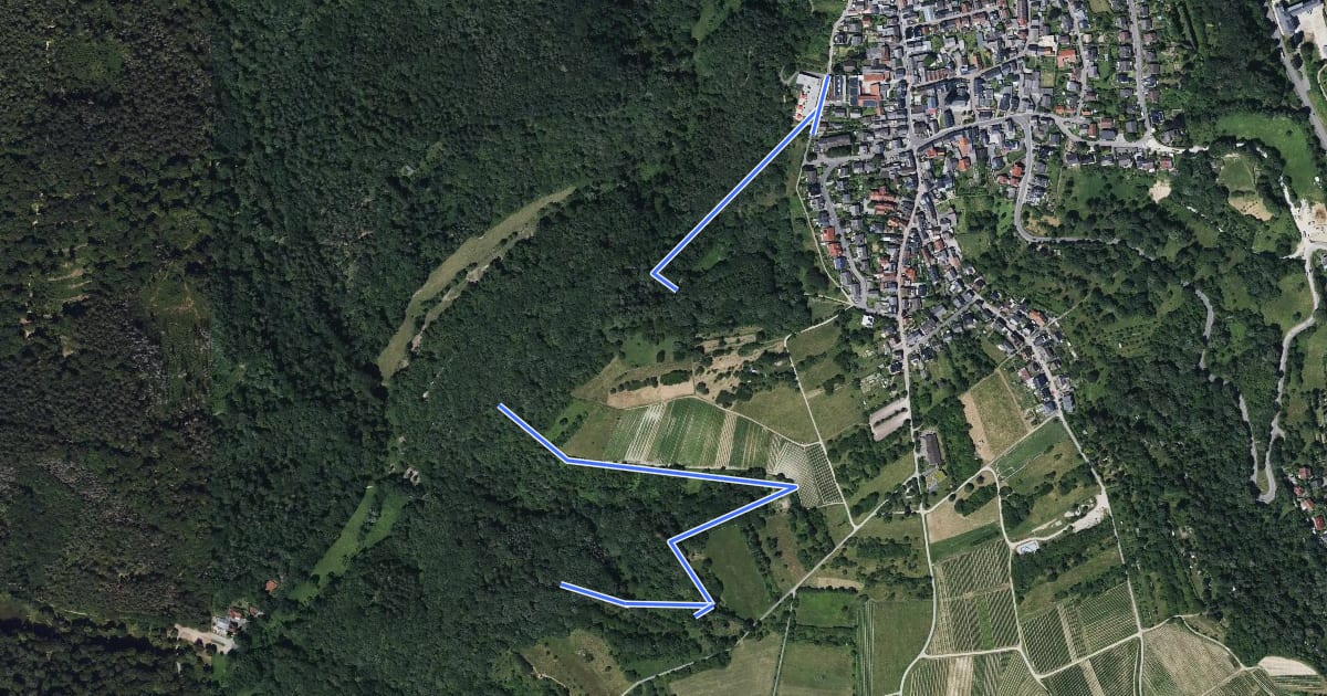 Маршрут Rauenthal: Heinzentalweg на спутниковом снимке