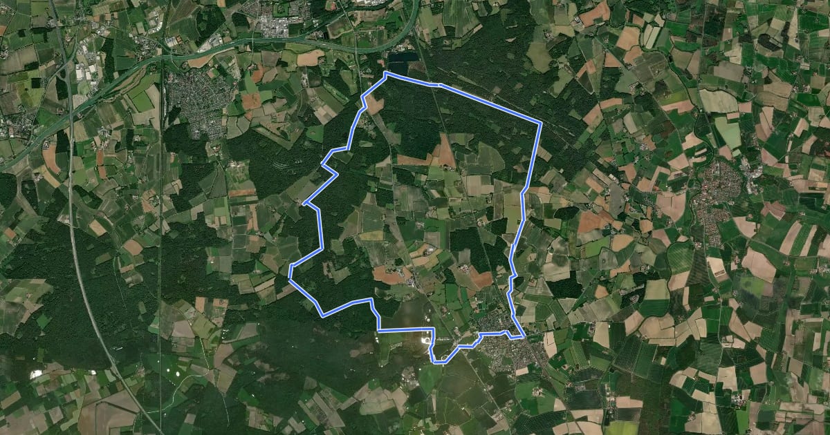 Маршрут Raute 2 Wanderung in Rinkerode und durch die Davert на спутниковом снимке