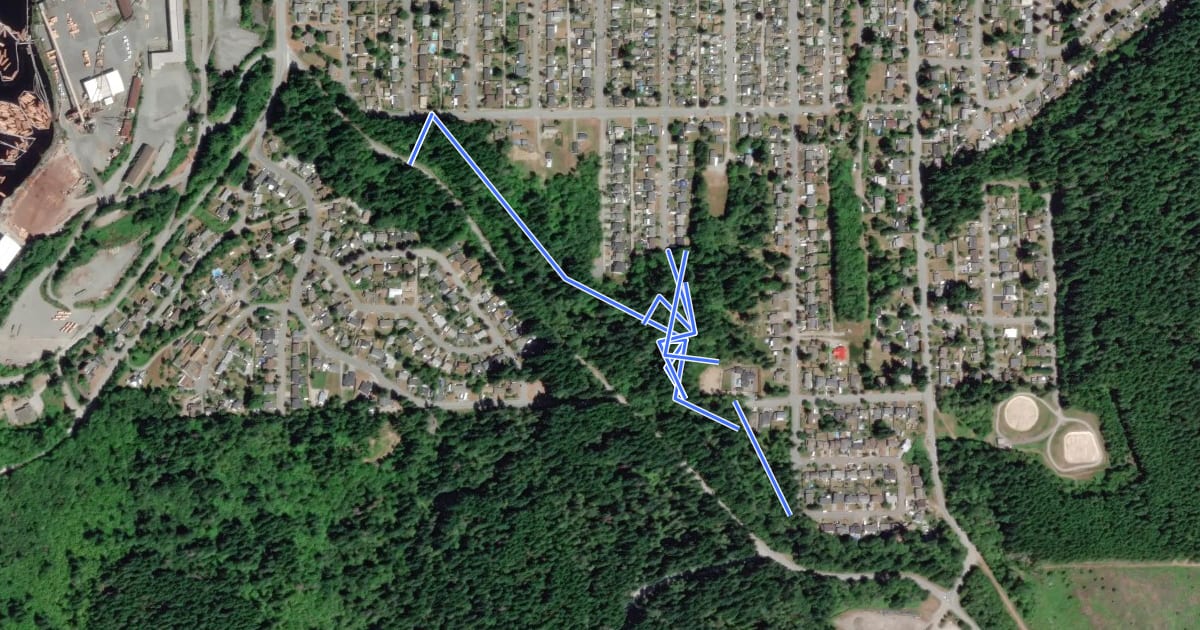 Маршрут Ravenhill Woods Trail на спутниковом снимке