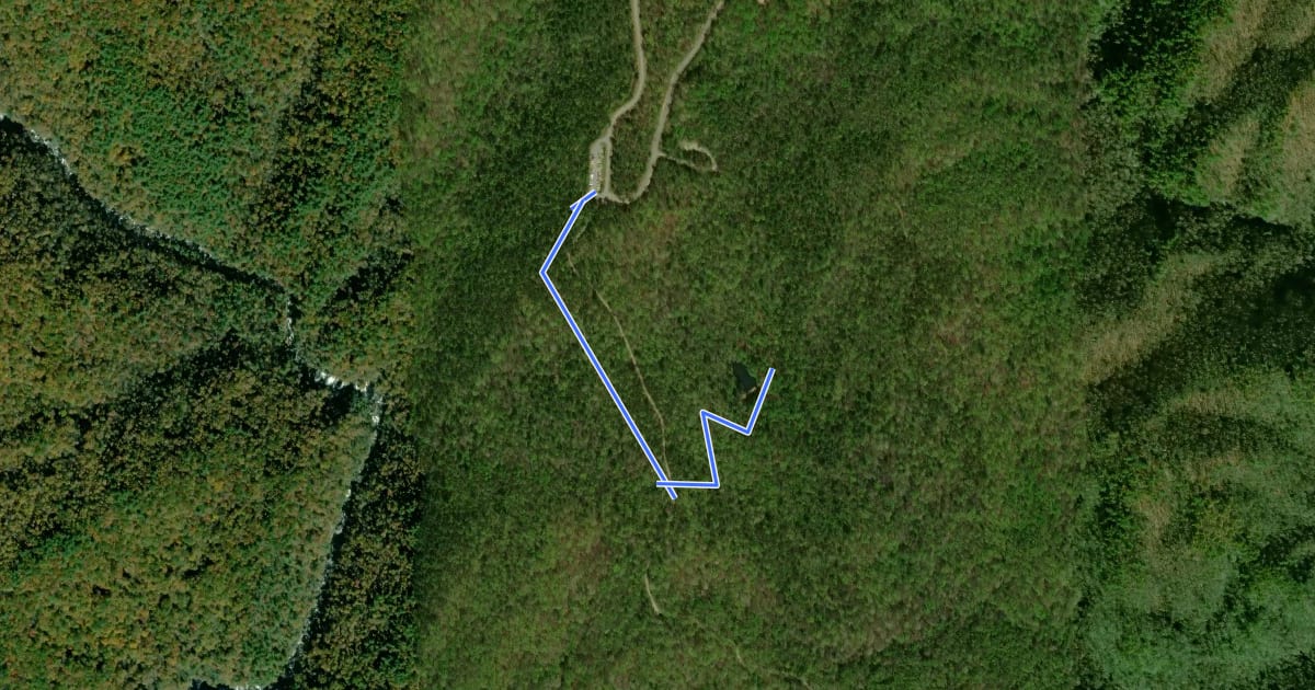 Маршрут Raymond Fisher Trail на спутниковом снимке