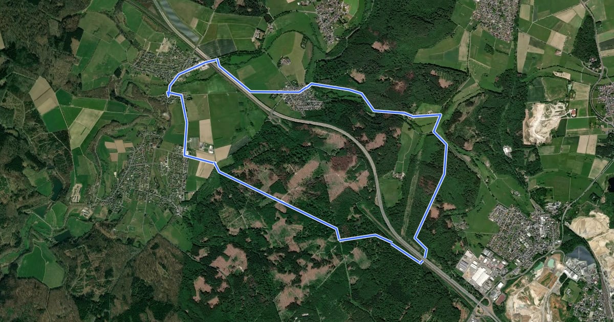 Маршрут [RB8] Ransbach-Baumbach Rundwanderweg на спутниковом снимке