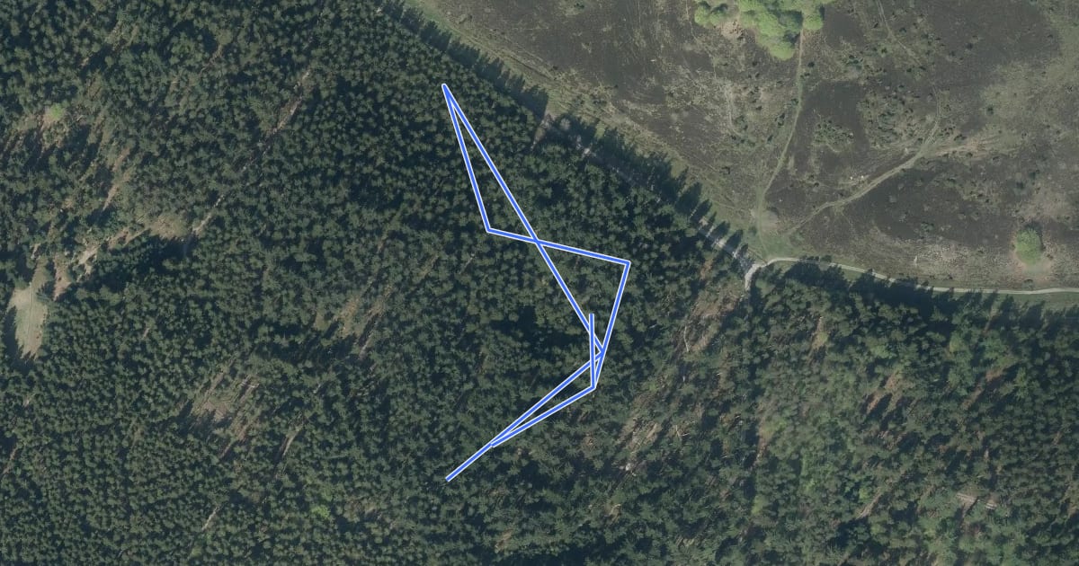 Маршрут Rebild Downhill на спутниковом снимке