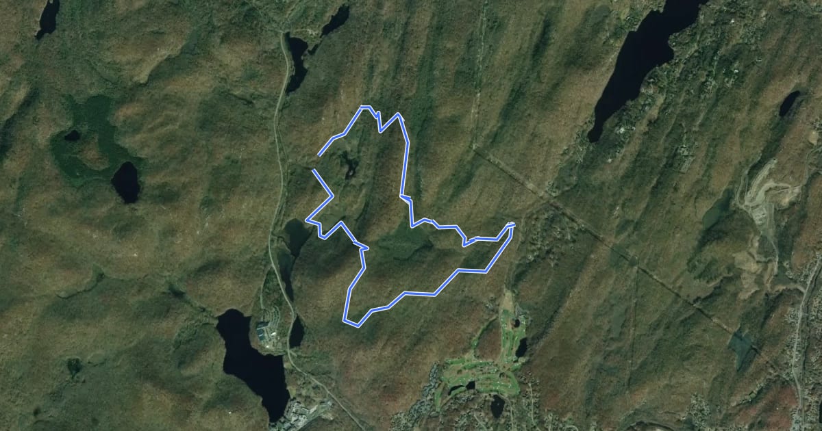 Маршрут Red Back Hike Trail на спутниковом снимке
