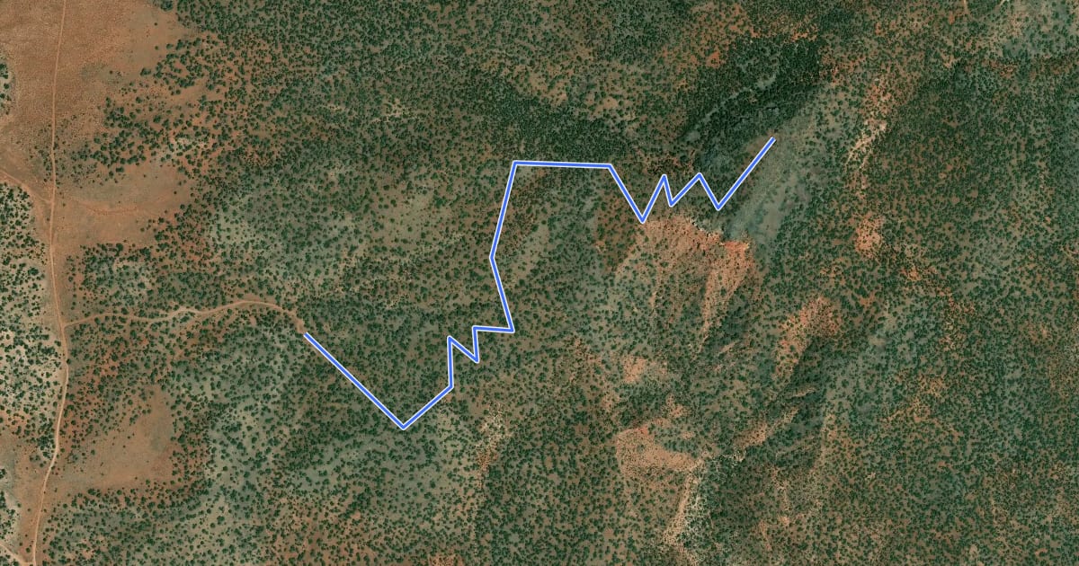 Маршрут Red Butte Trail #37 на спутниковом снимке