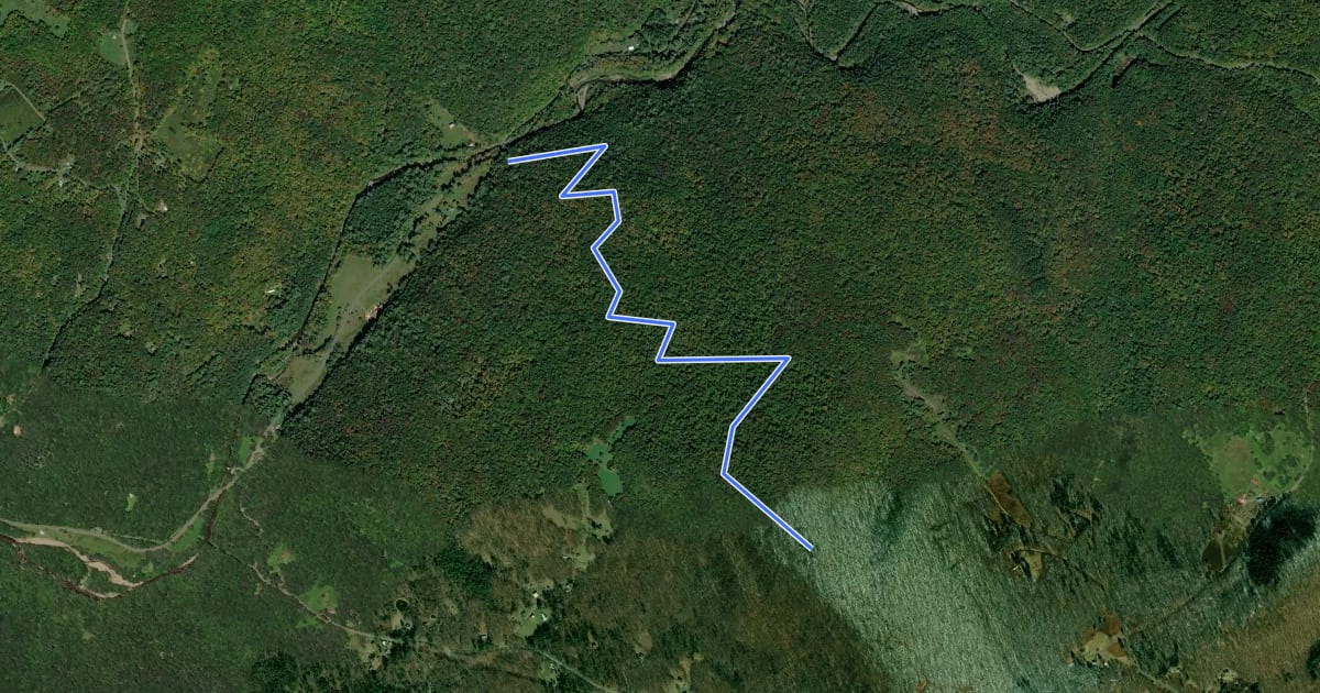 Маршрут Red Hill Fire Tower Trail на спутниковом снимке