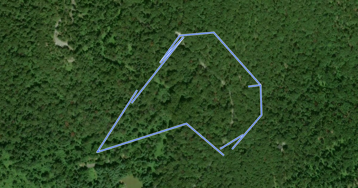 Маршрут Red Maple Trail на спутниковом снимке