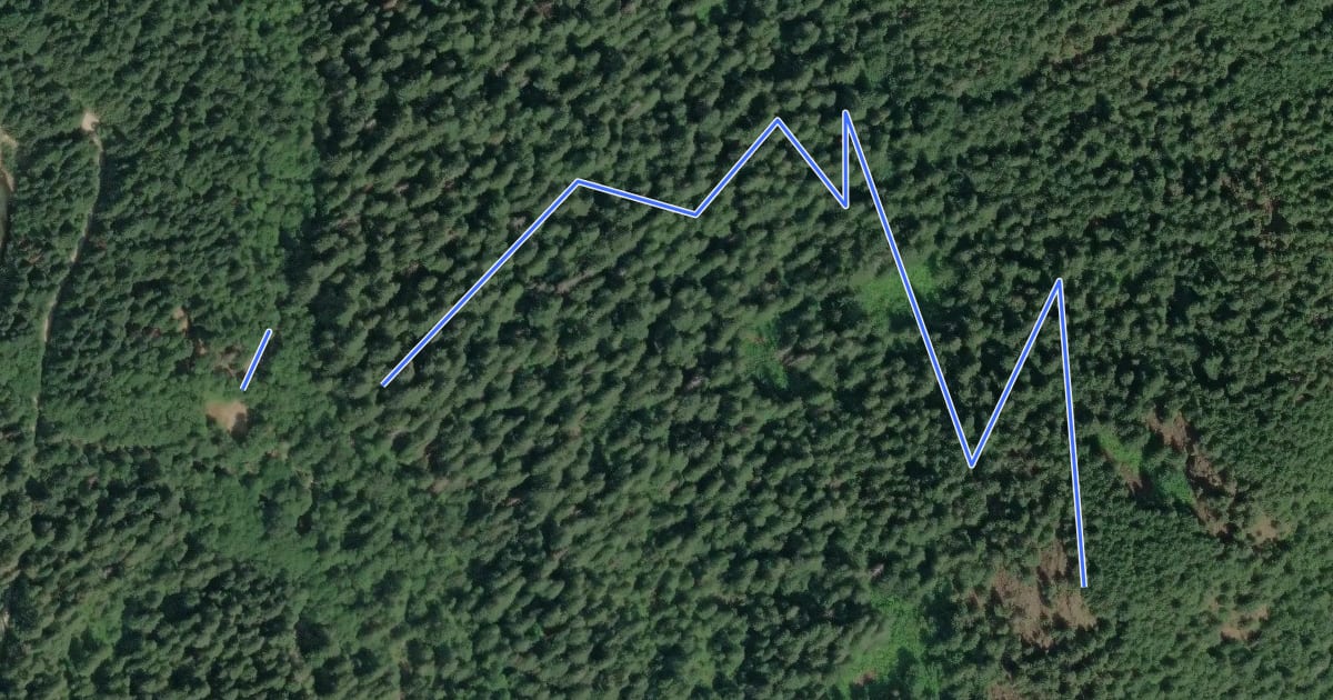 Маршрут Red Mountain Trail на спутниковом снимке