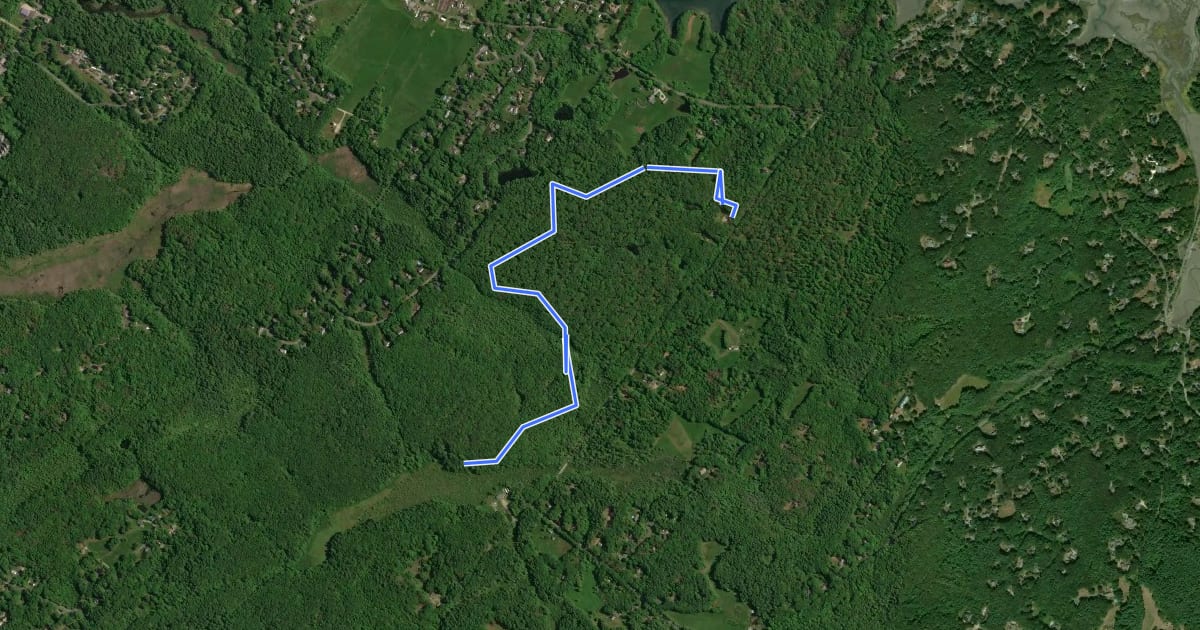 Маршрут Red Oak Trail на спутниковом снимке