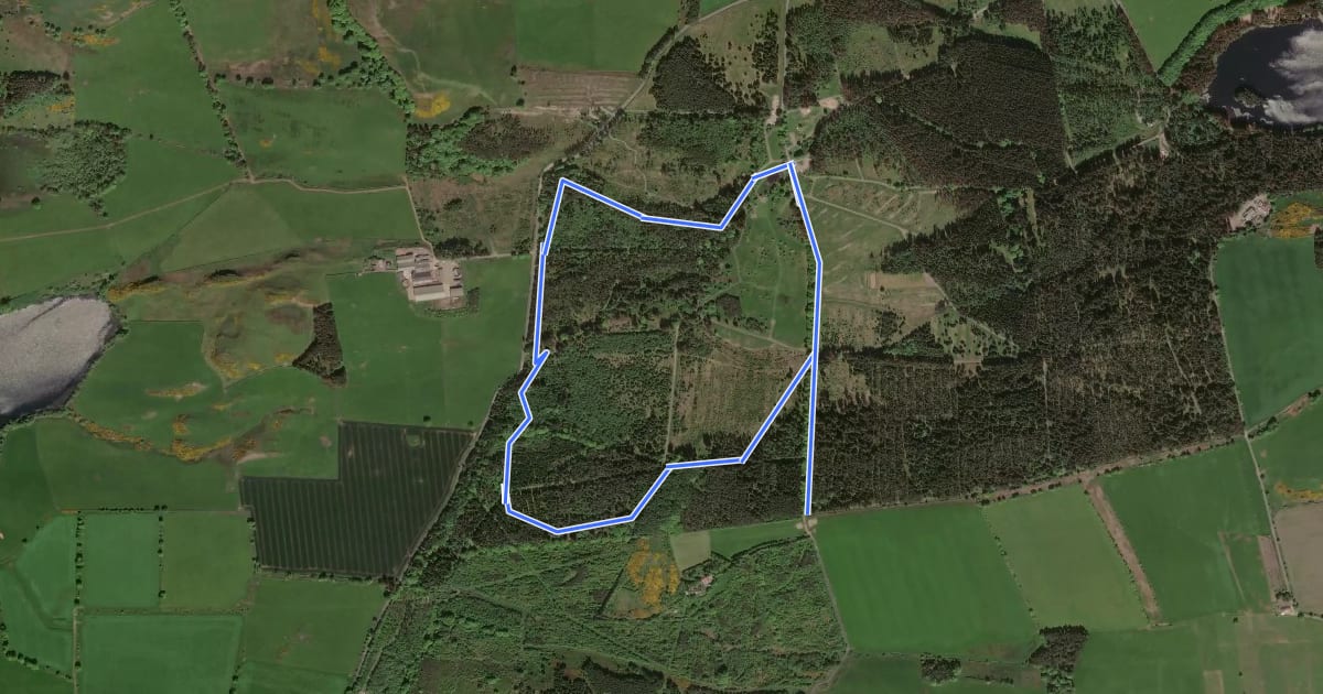Маршрут Red Route на спутниковом снимке