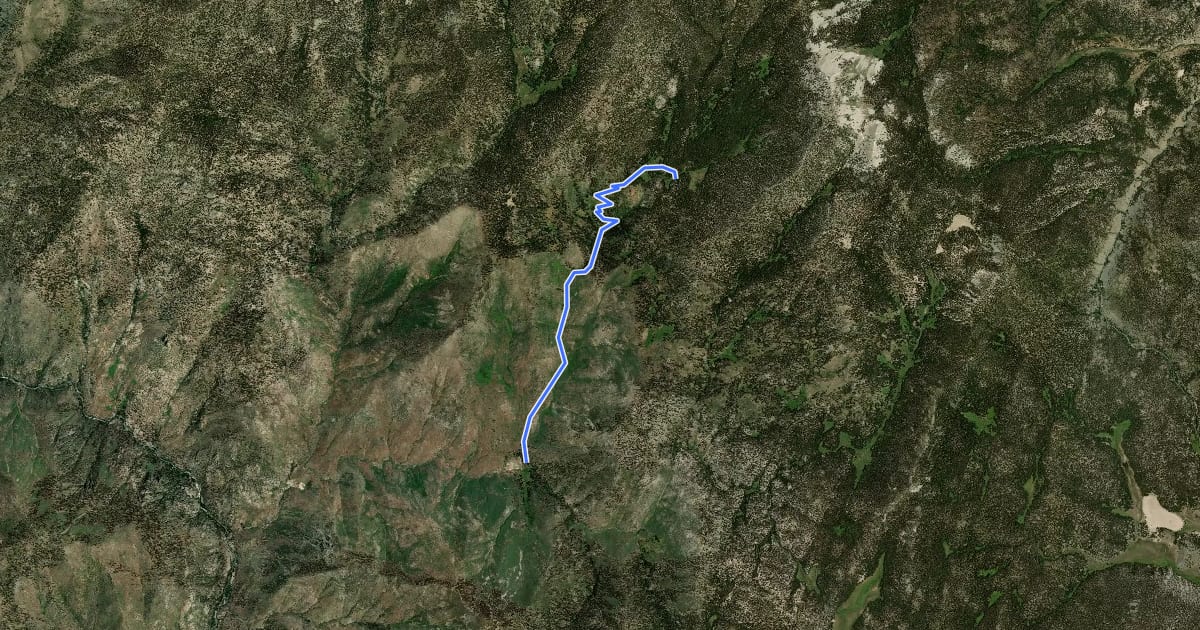 Маршрут Redrock Meadow Trail на спутниковом снимке