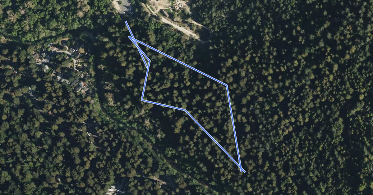 Маршрут Redwood Grove Loop Trail на спутниковом снимке