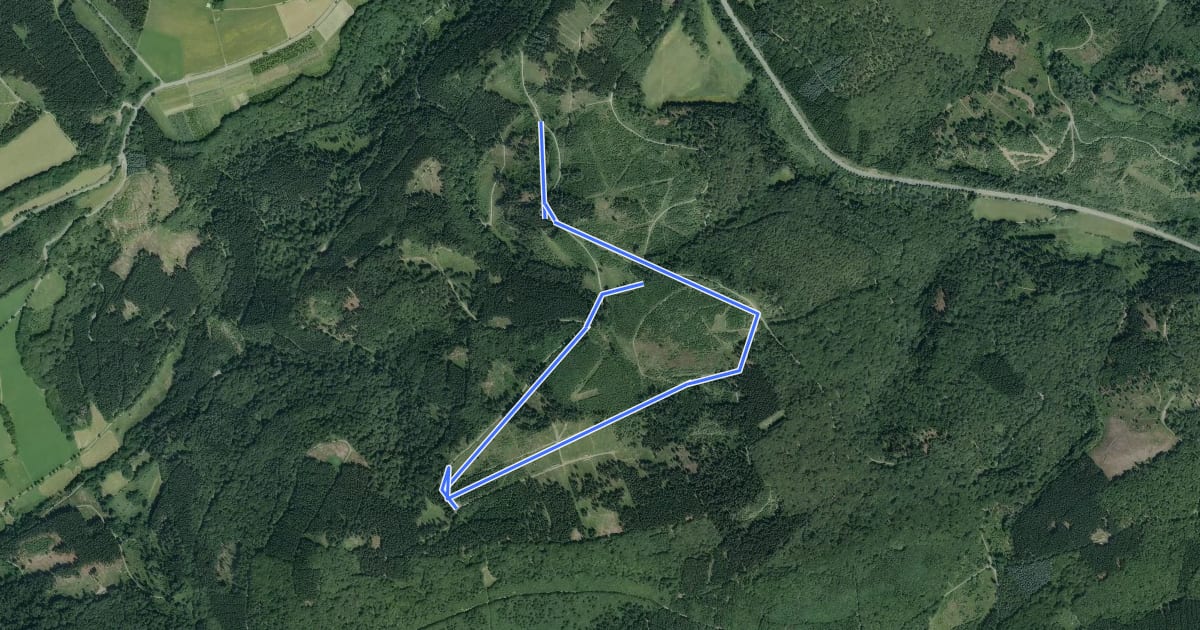 Маршрут Reetsbergspur 2 (rot) на спутниковом снимке