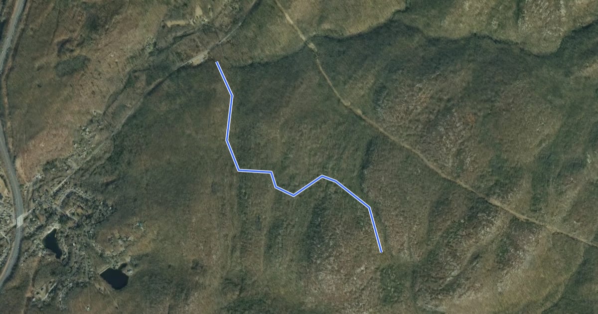 Маршрут Reeves Brook Trail на спутниковом снимке
