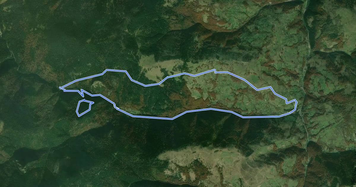 Маршрут Refugiul Salvamont Răchițele-Vf. Lespezi-Cascada Vălul Miresei-Refugiul Salvamont Răchițele на спутниковом снимке