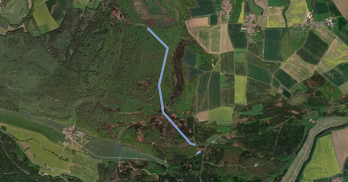 Маршрут Regionaler Wanderweg (grün-weiß-grün) на спутниковом снимке