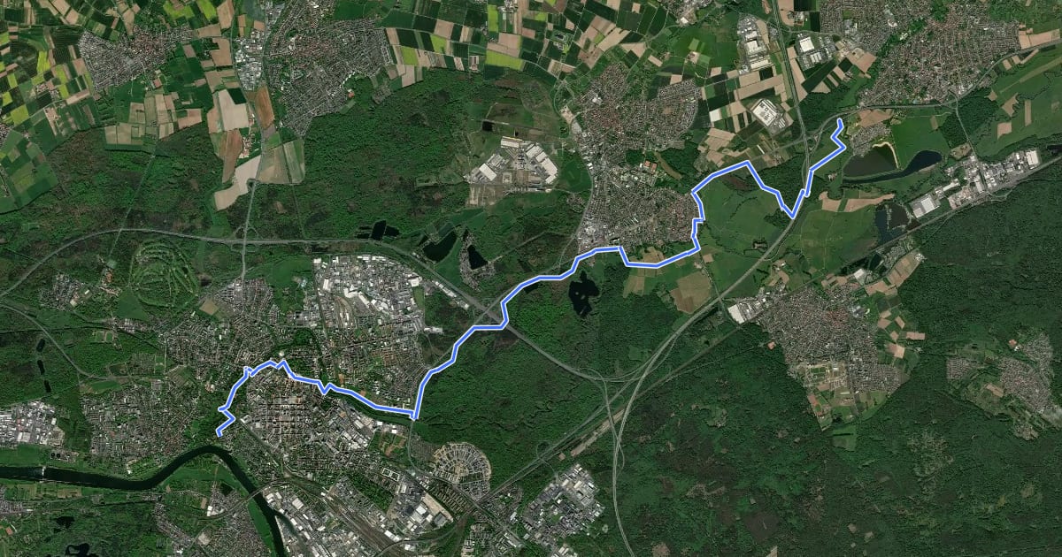 Маршрут Regionalpark Rhein-Main - Kinzigtalroute на спутниковом снимке