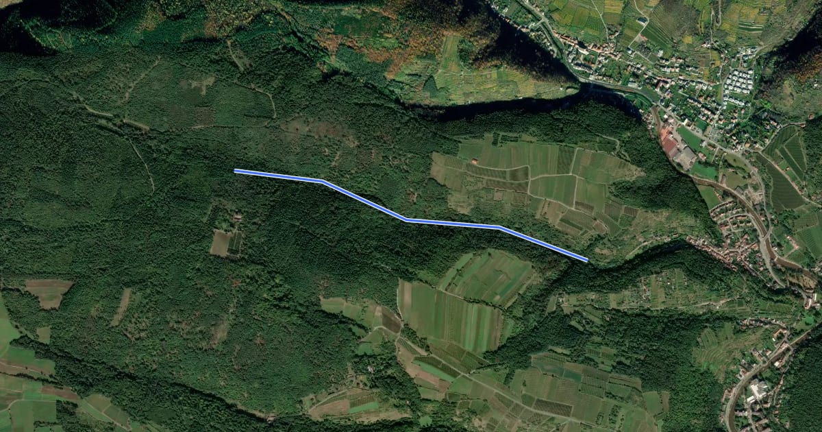 Маршрут Rehberg Ruine - Maiereikreuz на спутниковом снимке