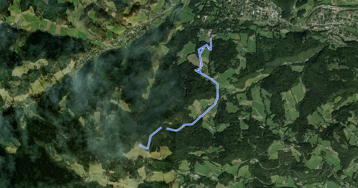 Маршрут Reichenau - Speckbacher Hütte на спутниковом снимке