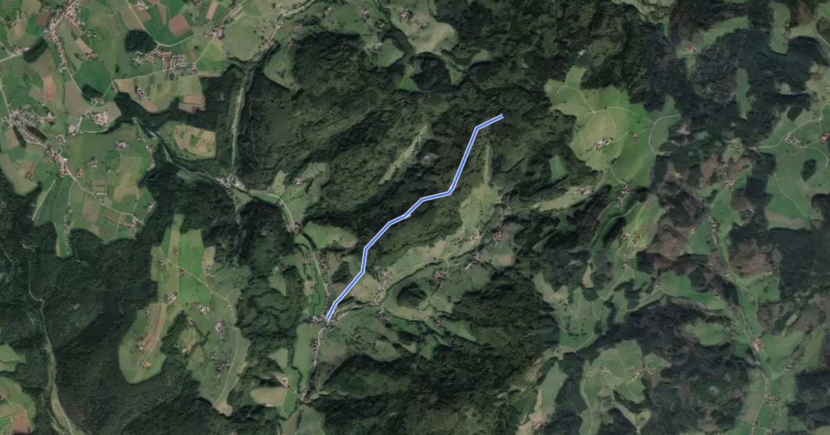 Маршрут Reichenbach Dorf - Molchenwaldhütte на спутниковом снимке