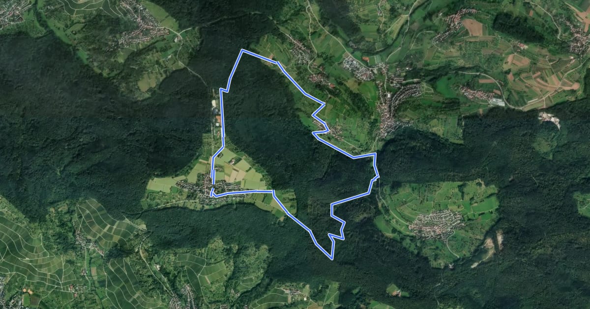 Маршрут Reichenbach-Rundweg на спутниковом снимке