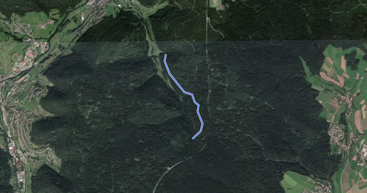 Маршрут Reichenbach-Trail на спутниковом снимке