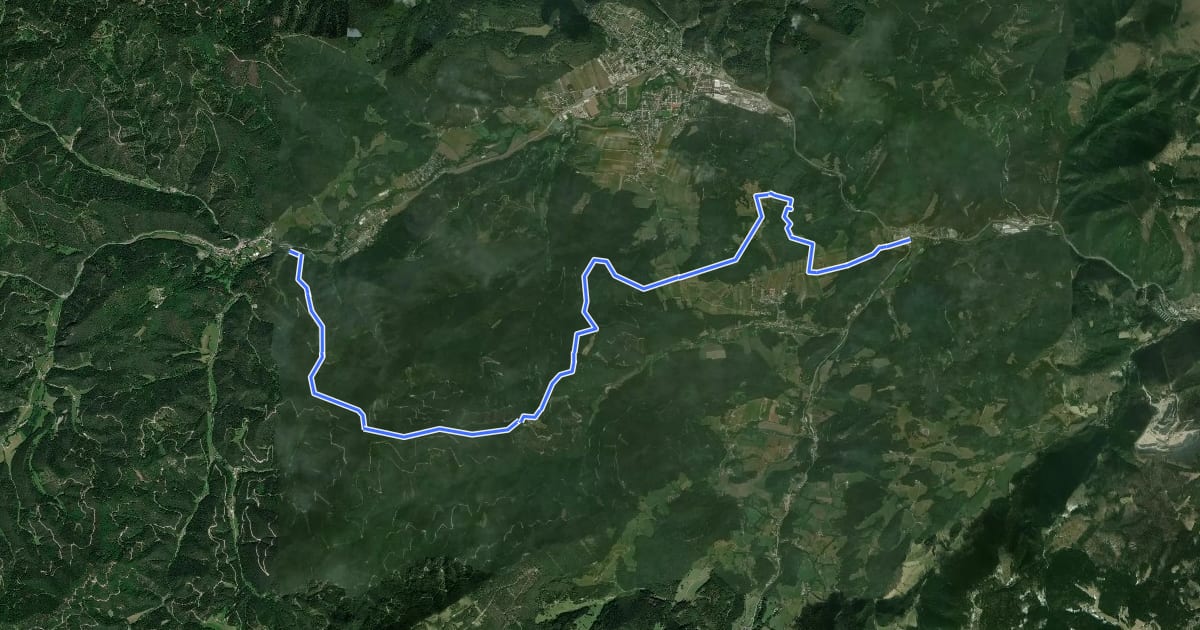 Маршрут Reichental Hst- Gr. Kitzberg - Ochsenheide - Gr. Neukogel - Gutenstein на спутниковом снимке