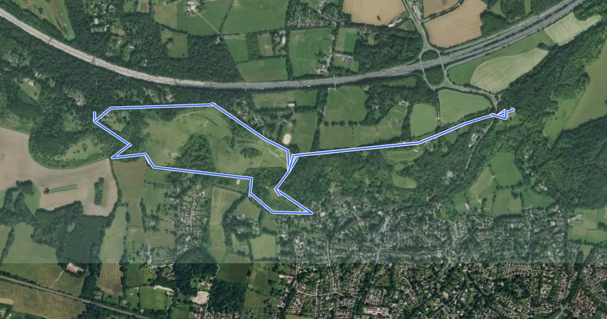 Маршрут Reigate Hill Walk, Harewoods на спутниковом снимке