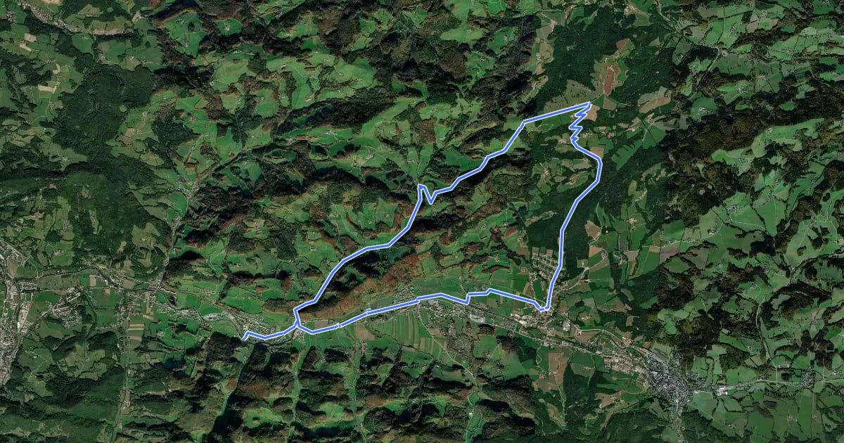 Маршрут Reisalpenblick Strecke на спутниковом снимке