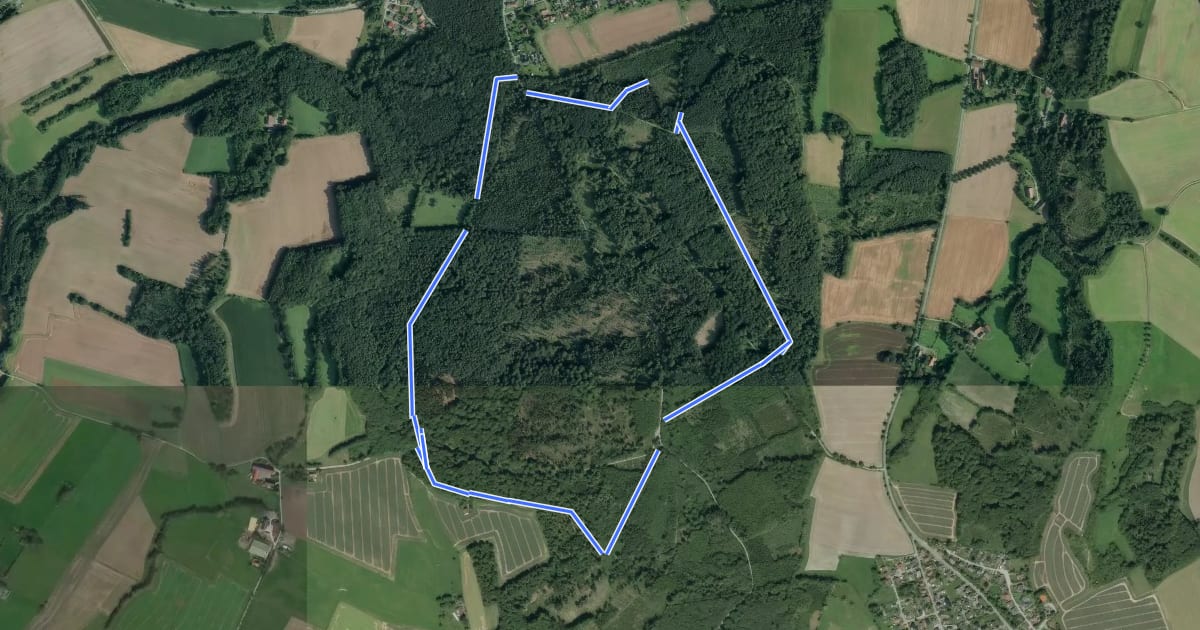 Маршрут Reiten im Leistruper Wald (Nordrunde) на спутниковом снимке