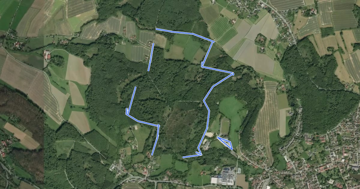 Маршрут Reiten im Leistruper Wald (Südrunde) на спутниковом снимке