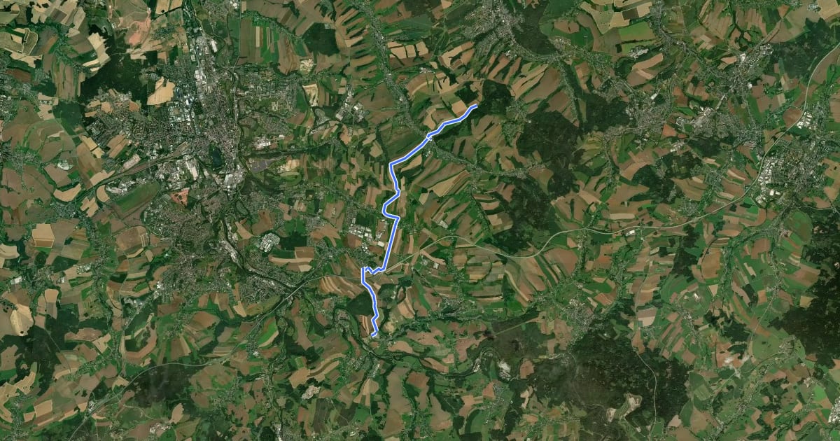 Маршрут Reitroute Schönau - Mülsen на спутниковом снимке