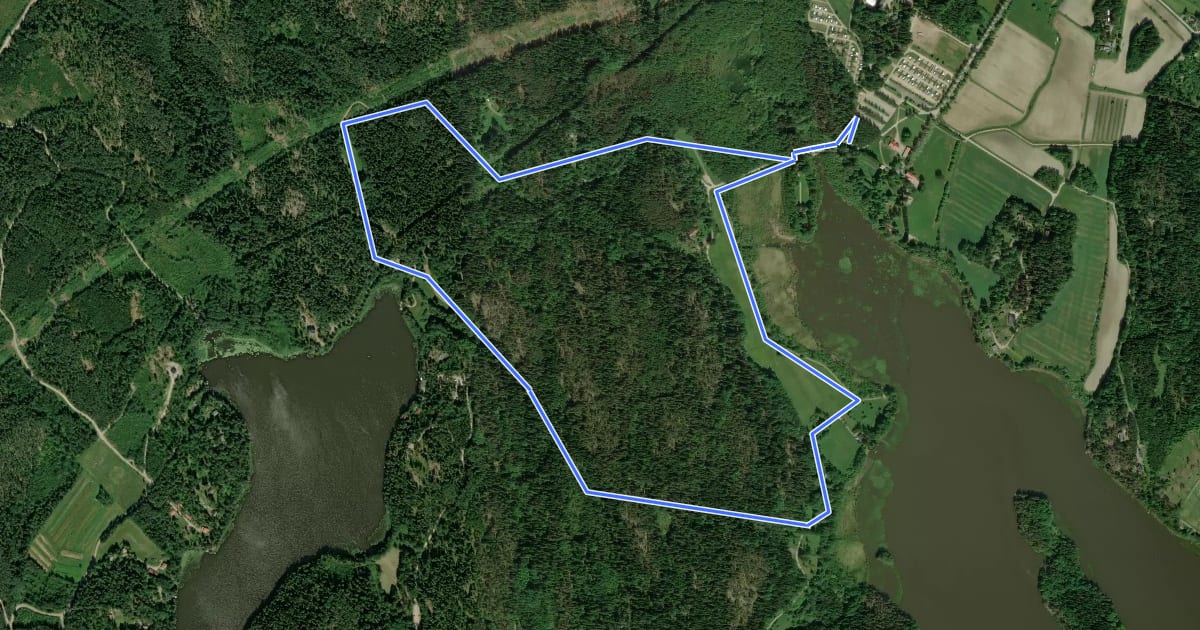 Маршрут Reitti 5.0 km на спутниковом снимке