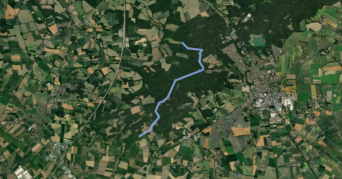 Маршрут Reitweg Erholungsgebiet Dammer Berge на спутниковом снимке