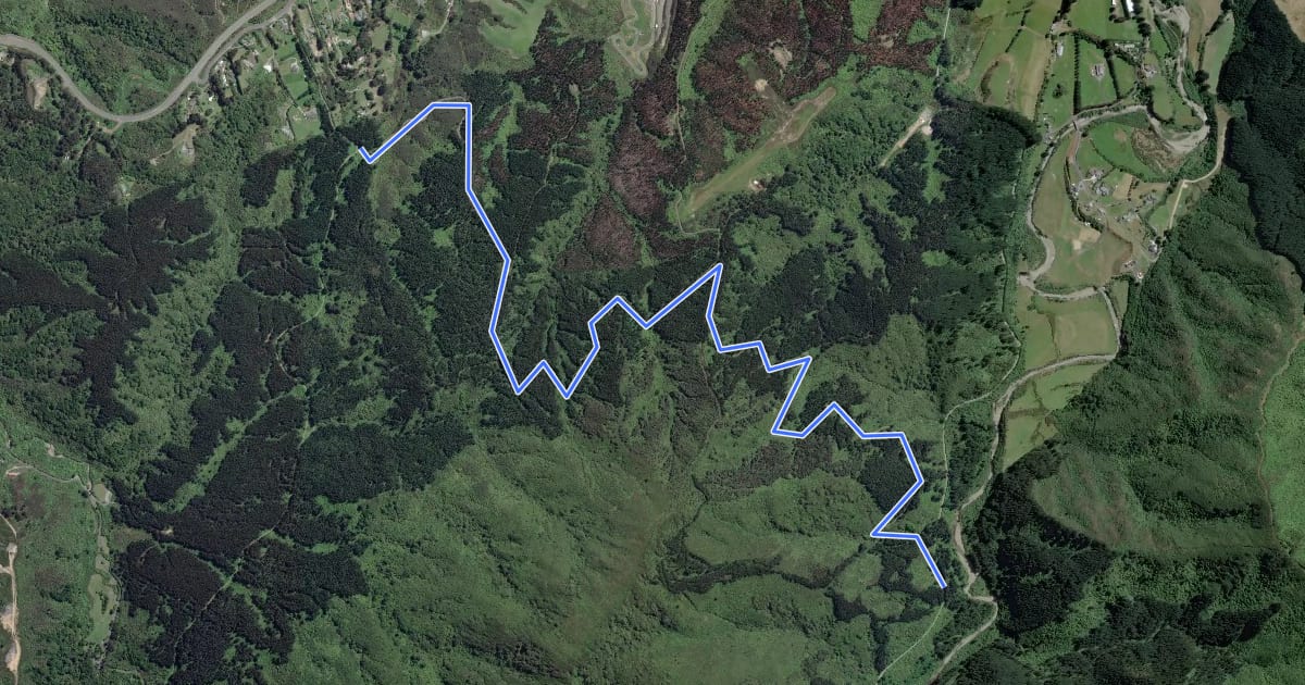 Маршрут Remutaka Rail Trail - deviation на спутниковом снимке