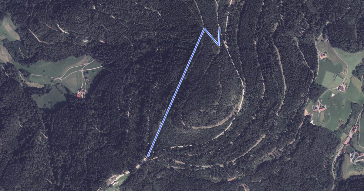 Маршрут Renchtalhütte - Brandtkopf на спутниковом снимке