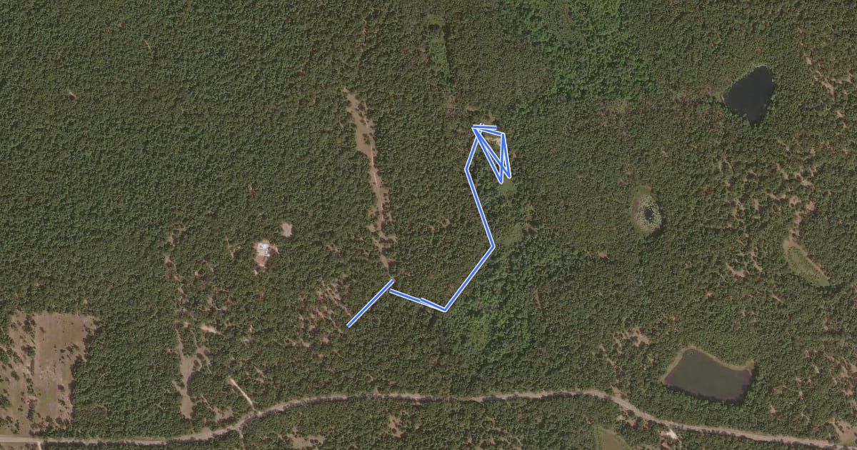 Маршрут Reneker Bog Hike на спутниковом снимке