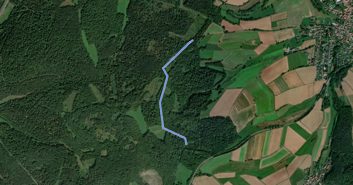 Маршрут Rengshausen Rundweg R10 на спутниковом снимке