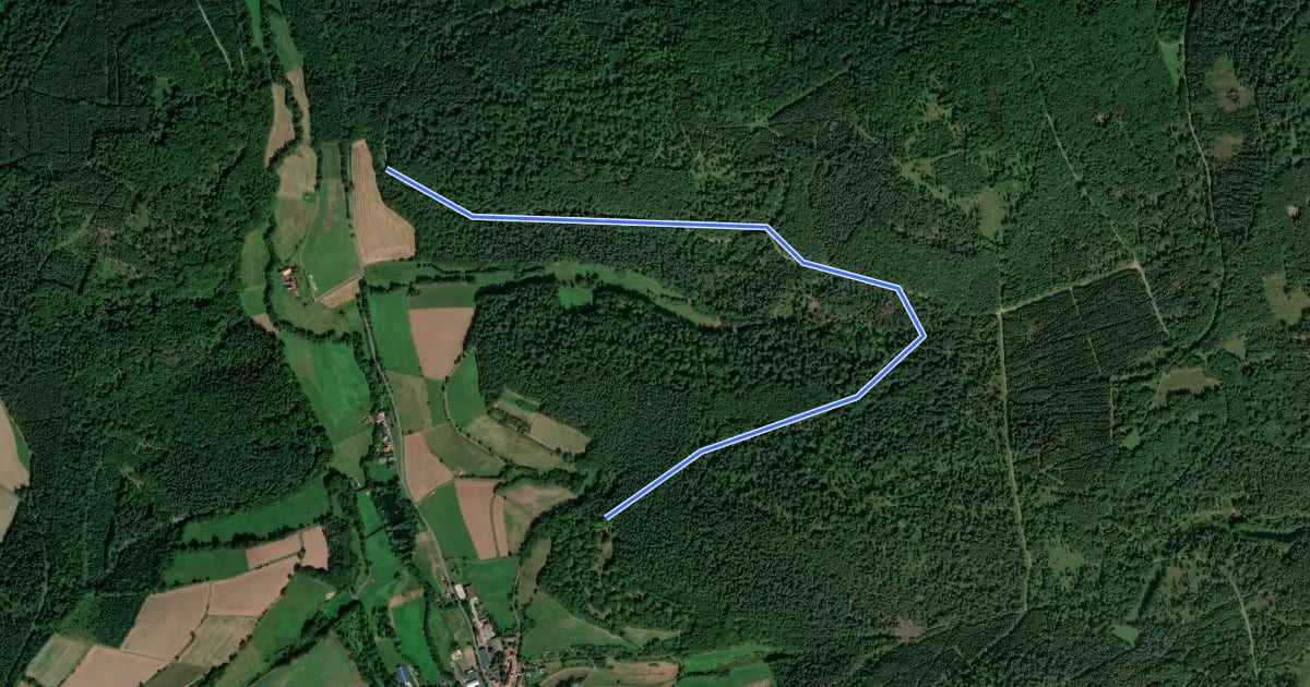 Маршрут Rengshausen Rundweg R3 на спутниковом снимке