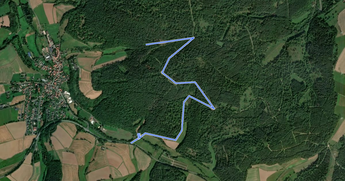 Маршрут Rengshausen Rundweg R4 на спутниковом снимке