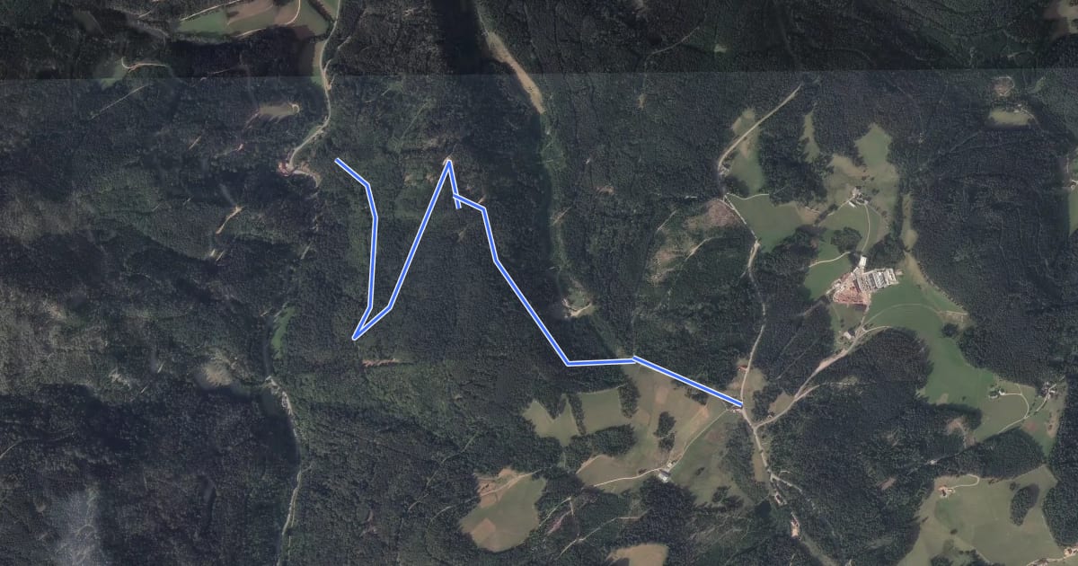 Маршрут Rensberg - Schönbühl на спутниковом снимке